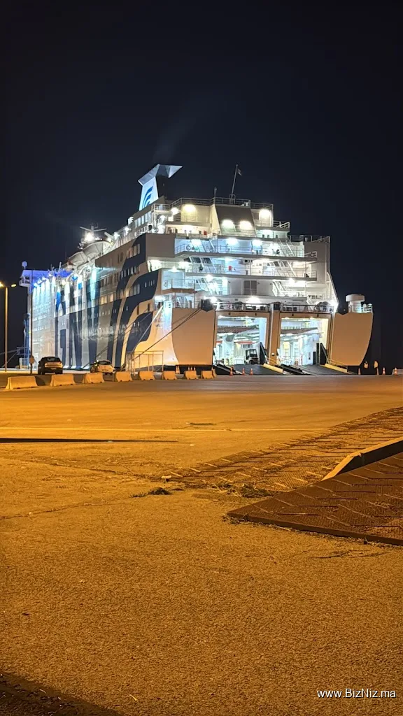 Ste m3trans transport international