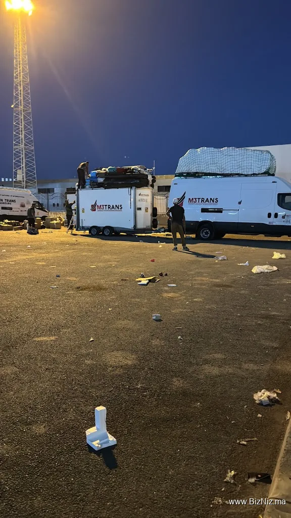 Ste m3trans transport international