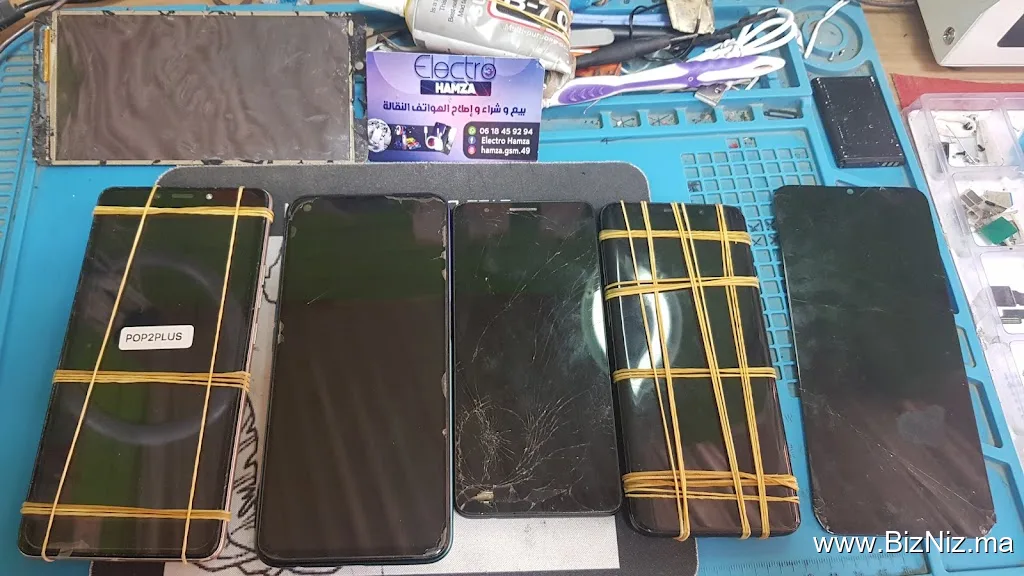 Electro Hamza