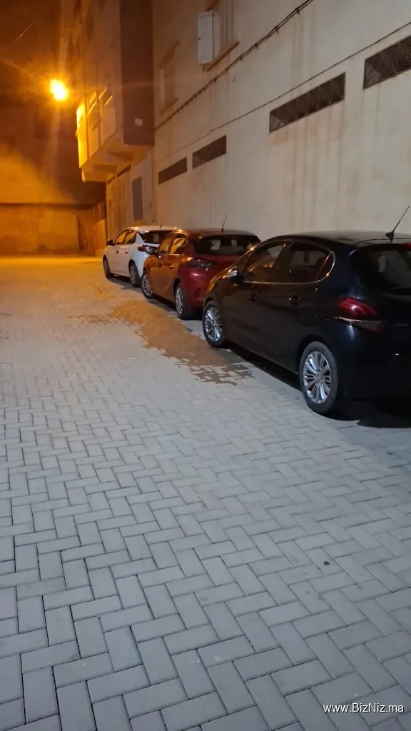 Dragon Cars