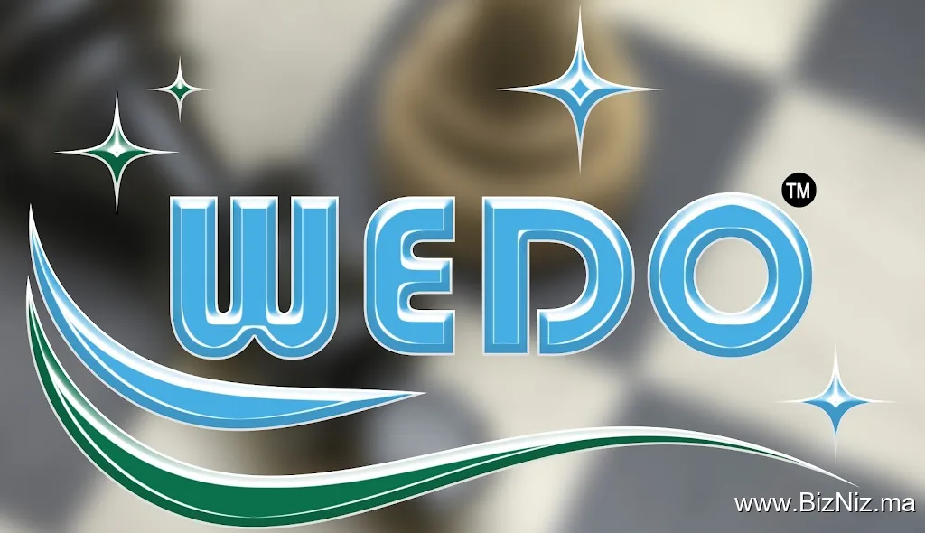 BELMOKHTAR HOLDING SARL AU