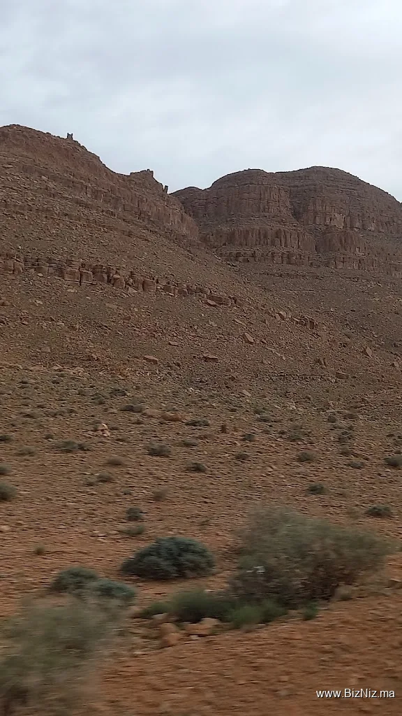 تدارت نتبلا او المكاوي