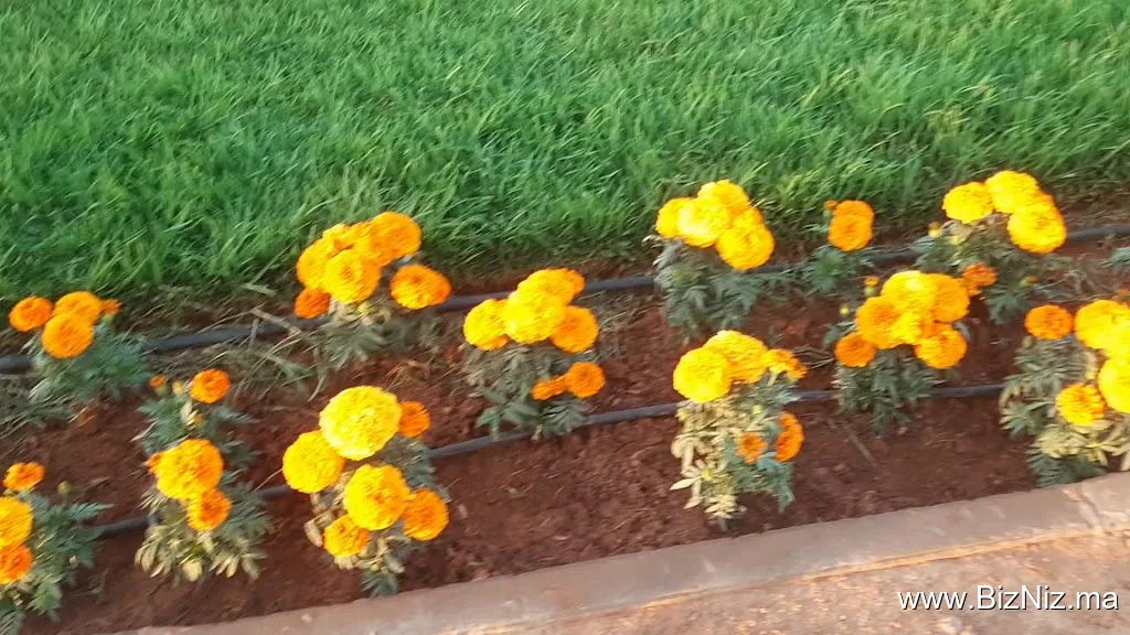 Parc Écologique d'Oujda
