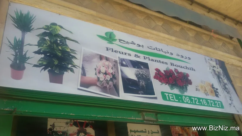 Fleurs & Plantes Bouchih