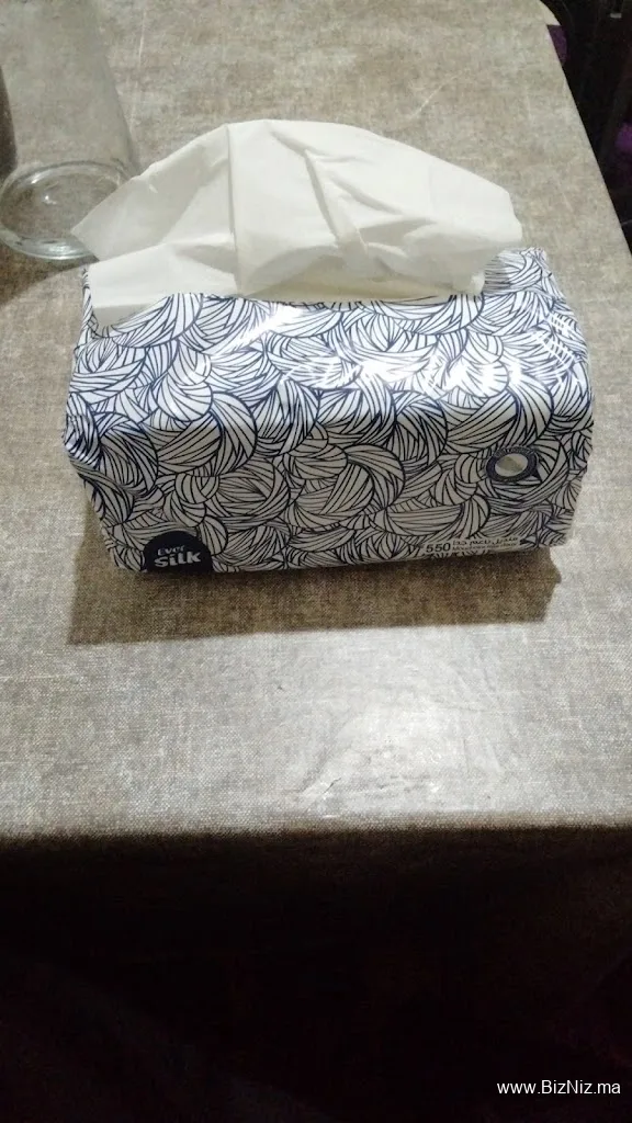 Jeesr Industries sarl : Fabrication de papier tissue, papier toilette, serviettes de tables et mouchoirs.