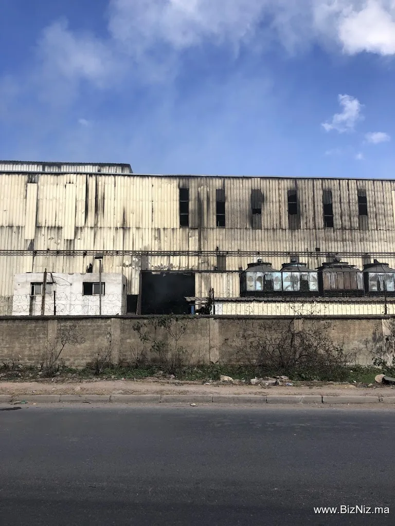 Moroccan Iron Steel