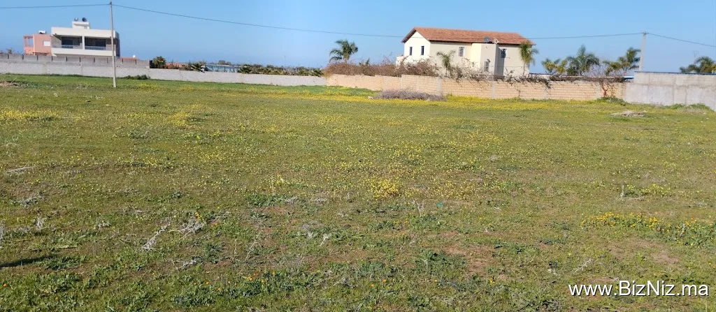 agence immobilière abdelkader