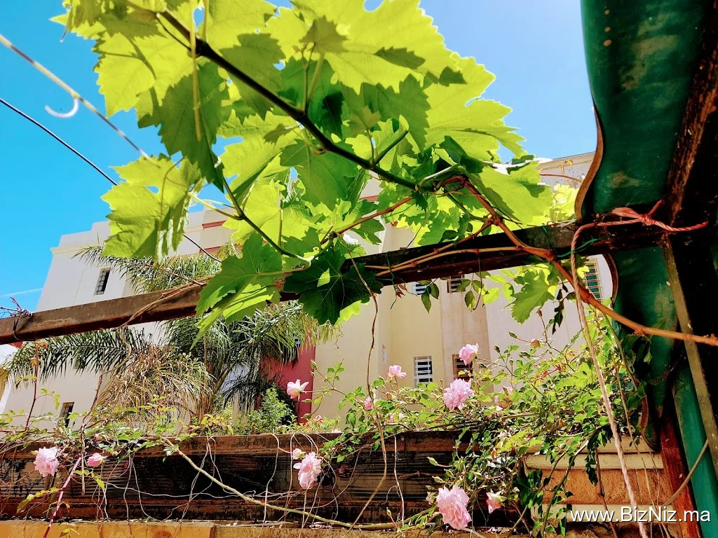 Résidence Les Jardins, Harhoura