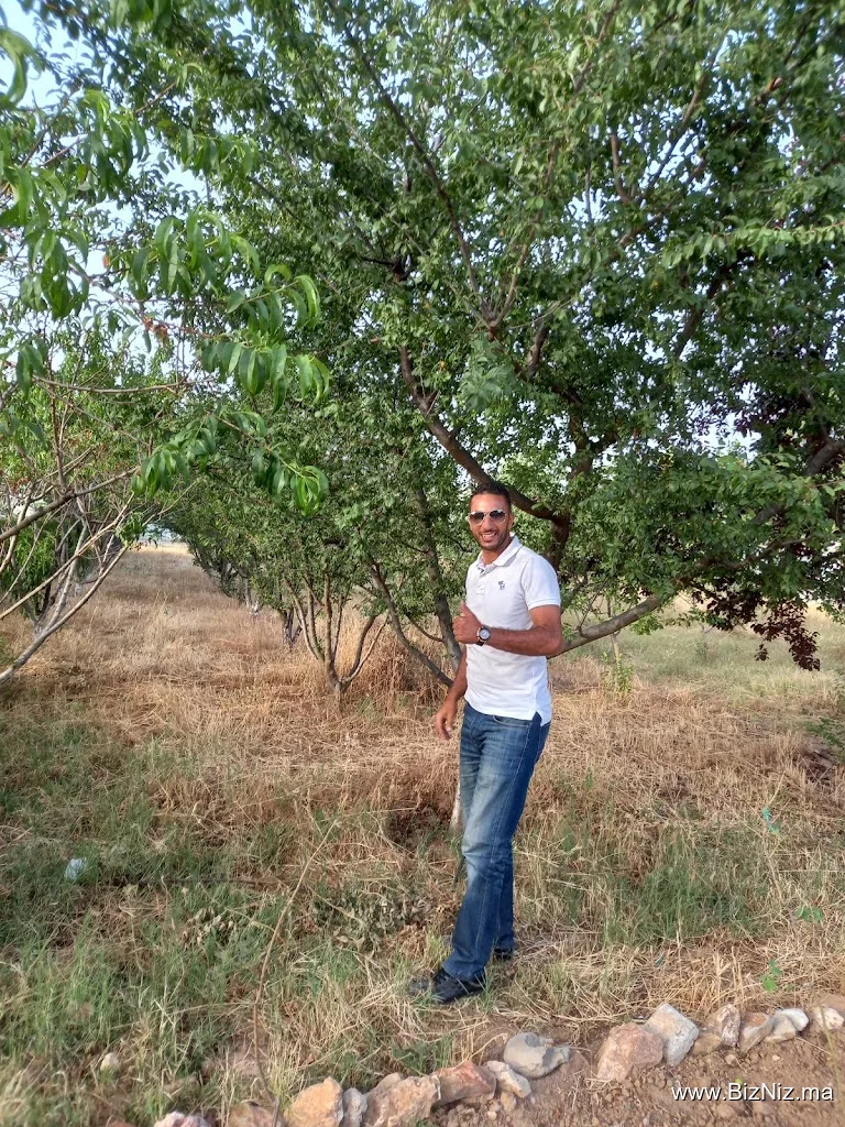Achal Nilly
