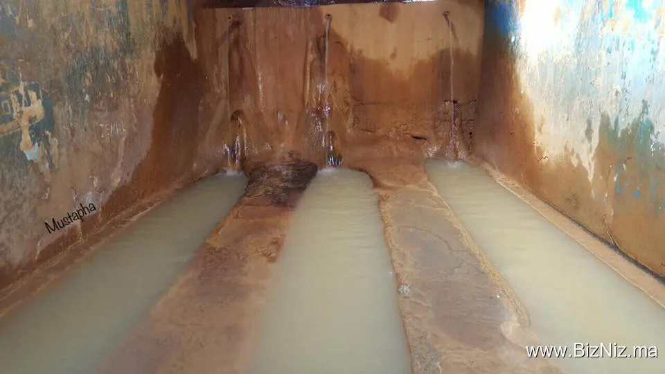 Maison d'hôte dar dyafa oulmes