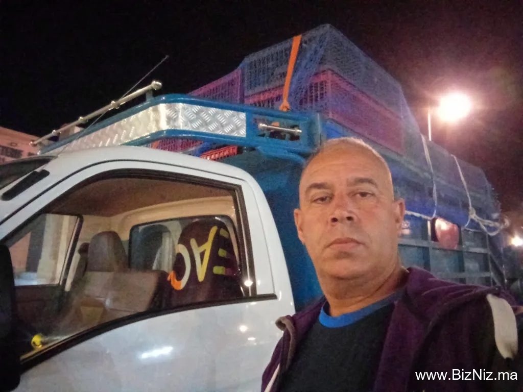 Transport experto