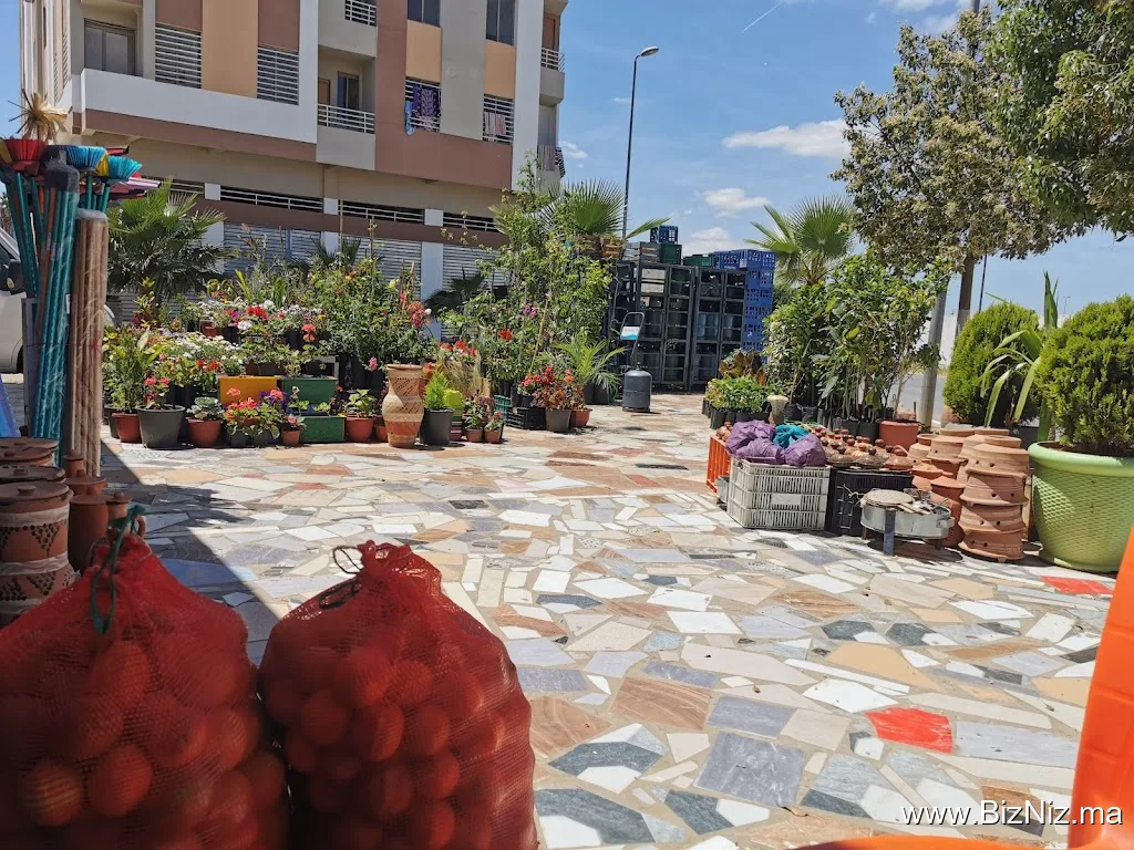 Safa store