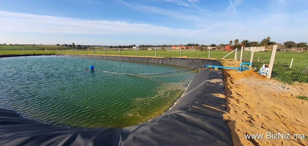STE IRRIGATION BAHRAOUI