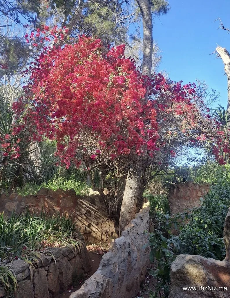Les Jardins Exotiques de Bouknadel