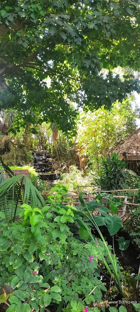 Les Jardins Exotiques de Bouknadel