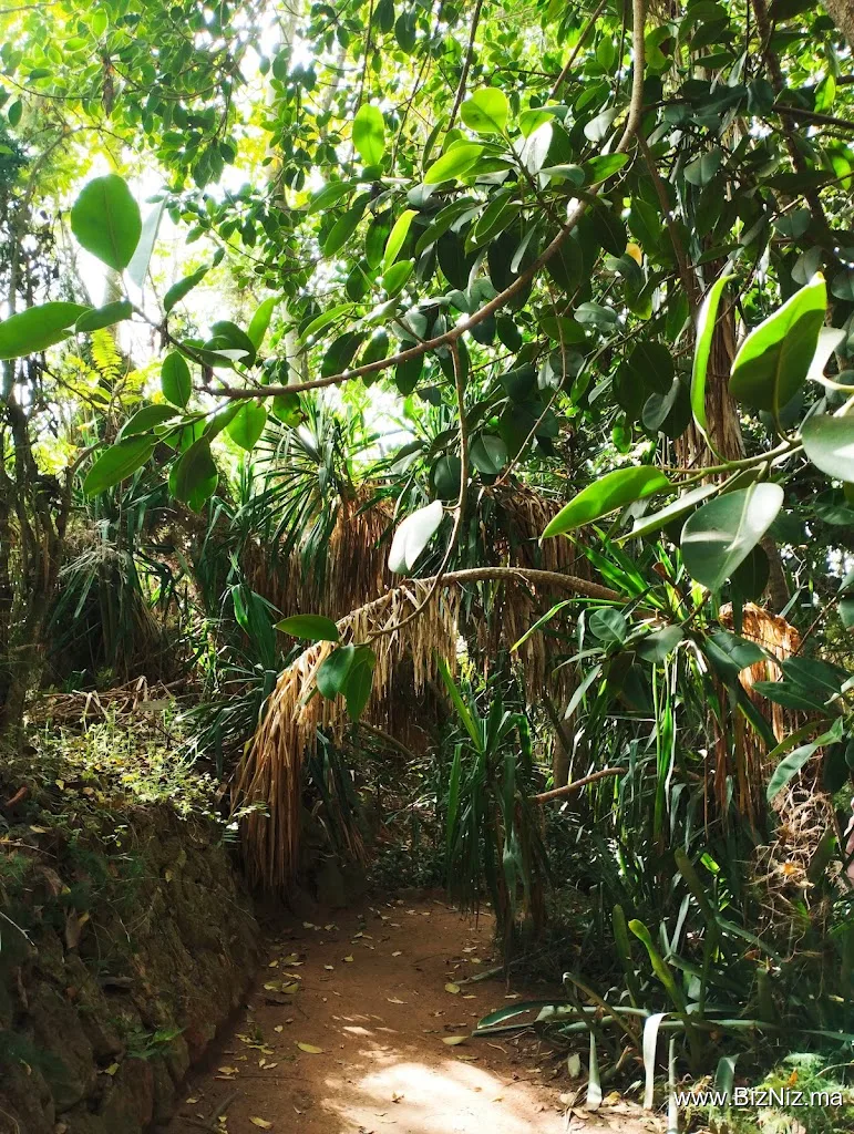 Les Jardins Exotiques de Bouknadel
