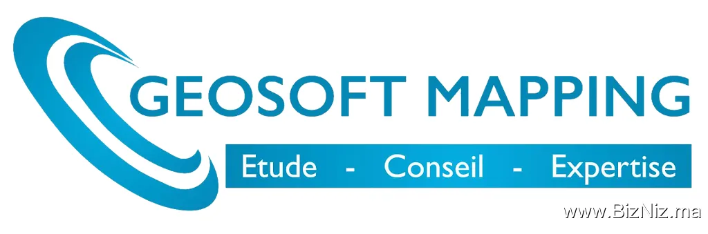 GEOSOFT MAPPING SARL