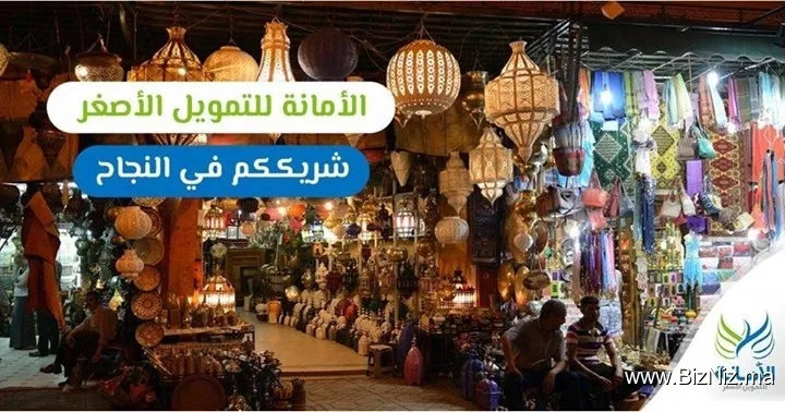 الامانة للتمويل الاصغر : وكالة تامسنا