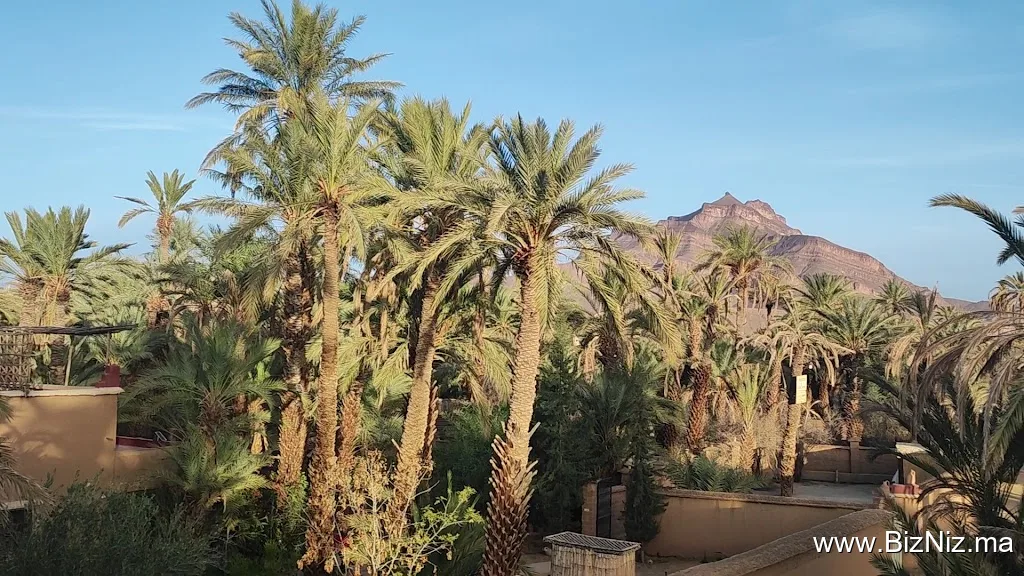 Riad tabhirte