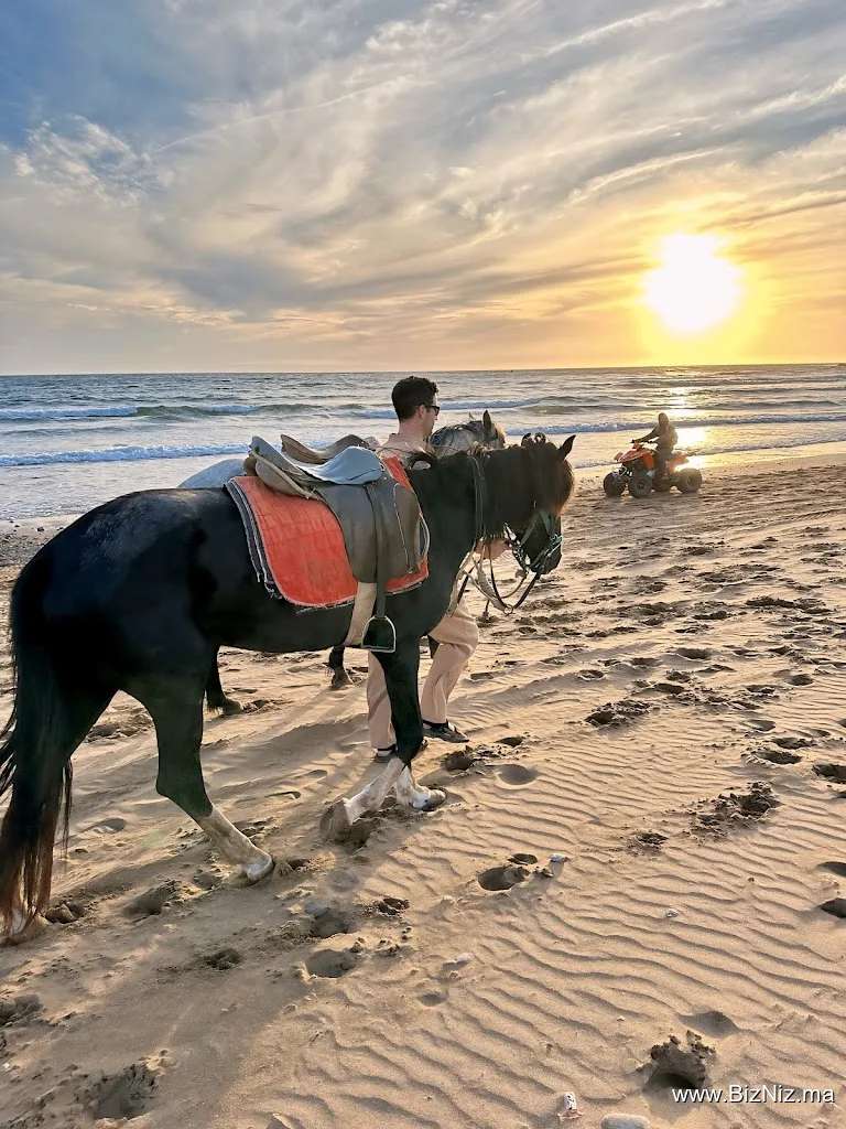 Explore Agadir