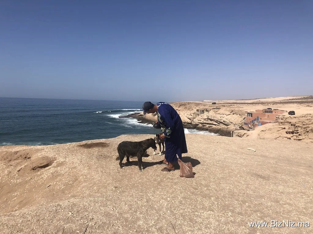 Agadir Sahara Trip