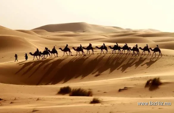 Agadir Sahara Trip
