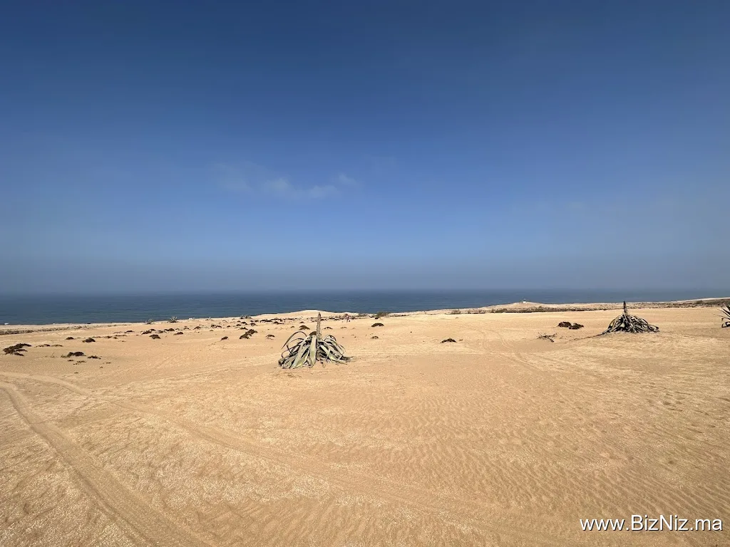 Agadir Sahara Trip