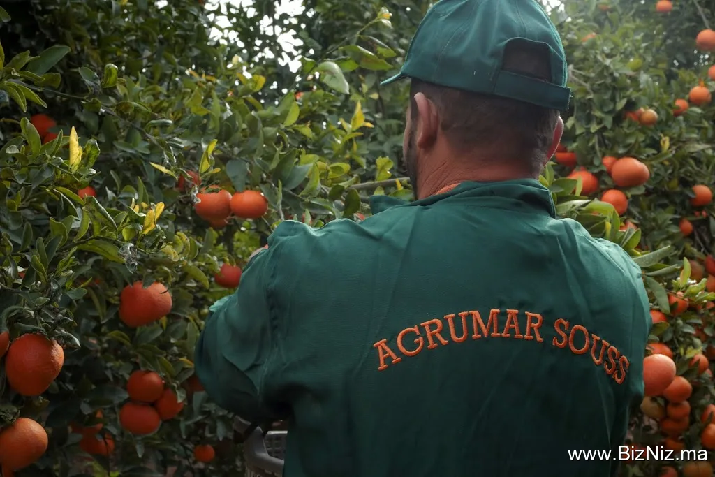 Agrumar Souss