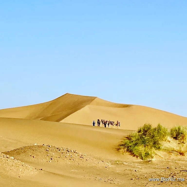 Passage To Paradise Tours - Excursions Agadir