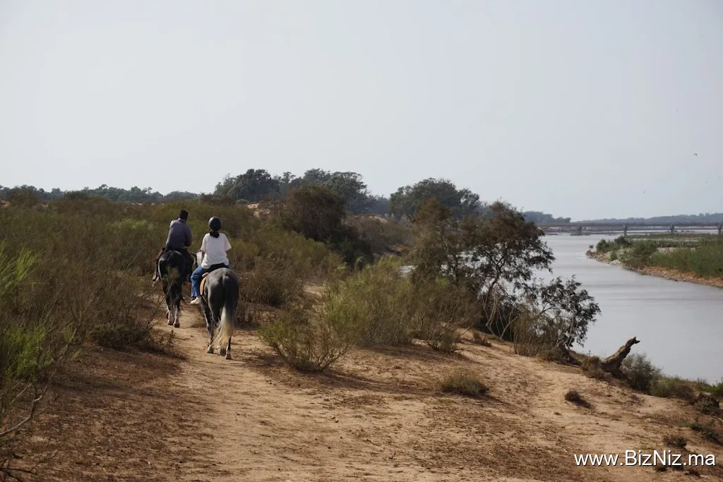Club Equestre Lamzar