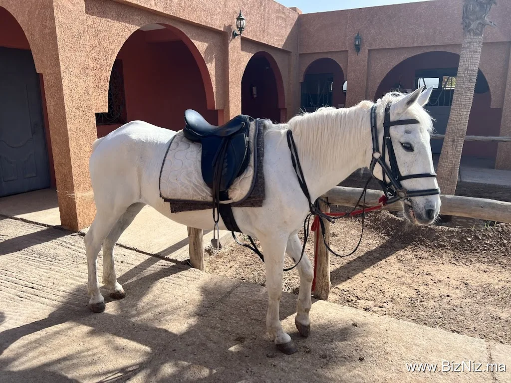 Club Equestre Lamzar