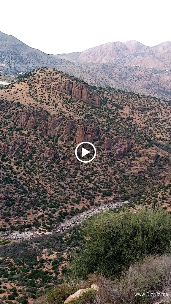@travelbackpakersmrc