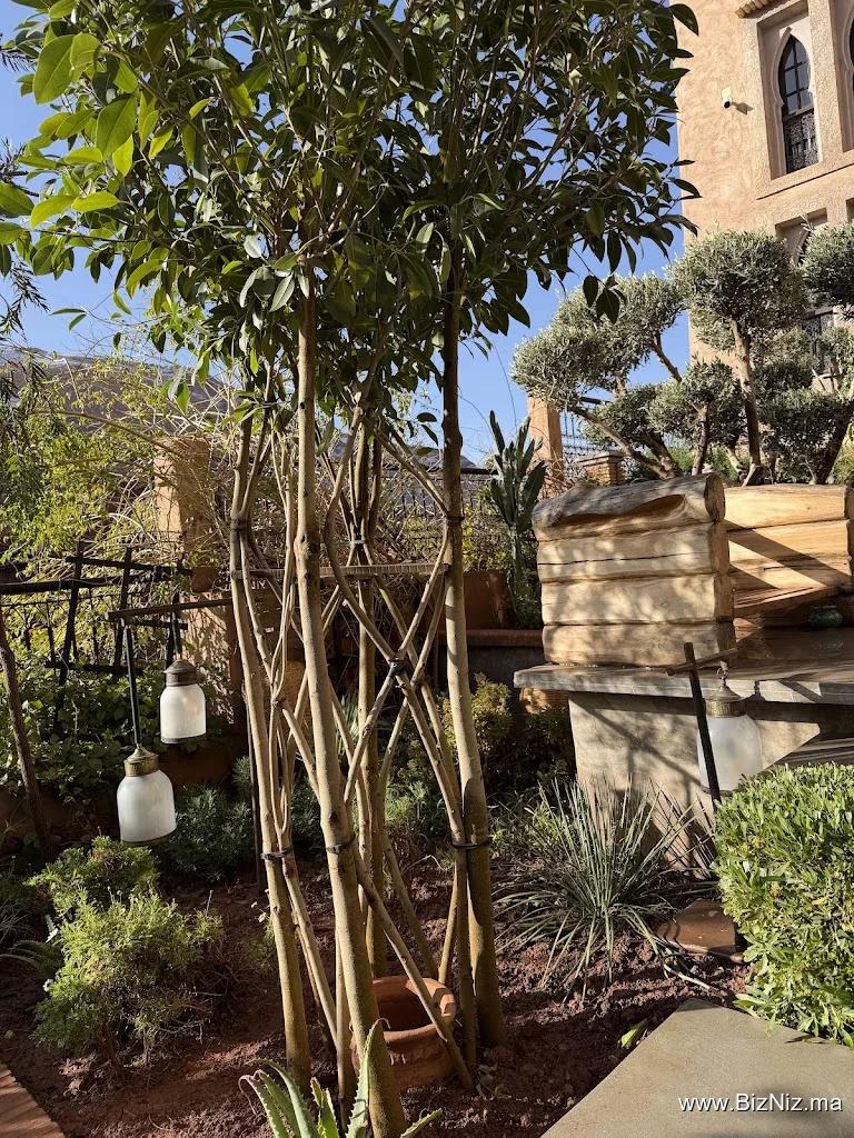 Eden Boutique Hotel