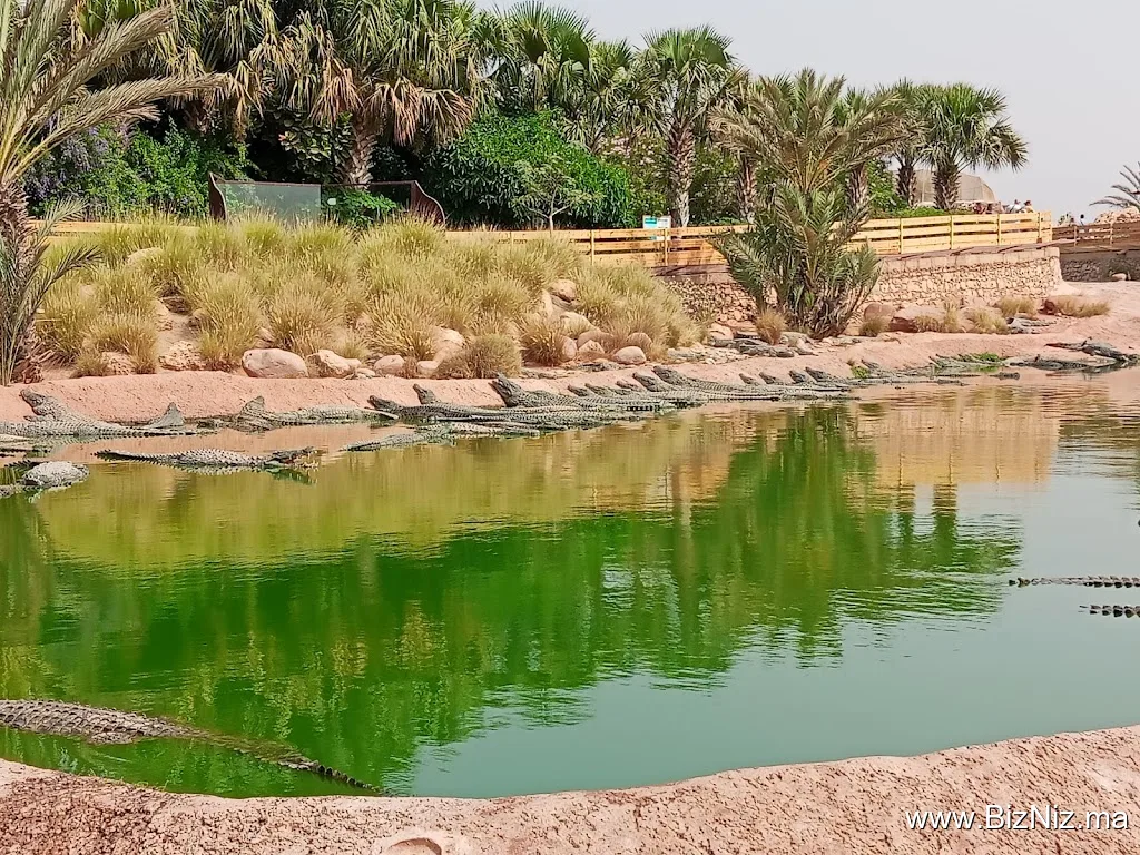 Agadir Moment Tours