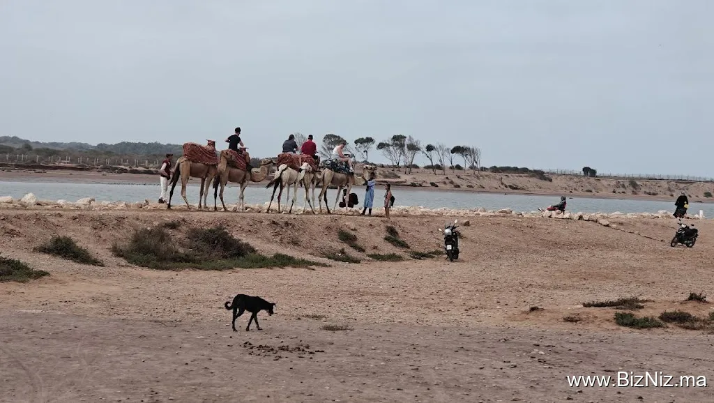 Agadir oasis
