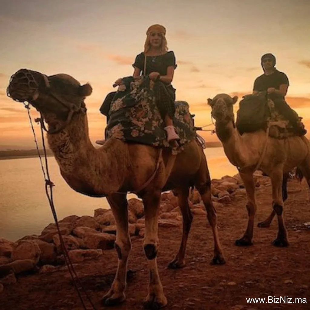 Agadir oasis