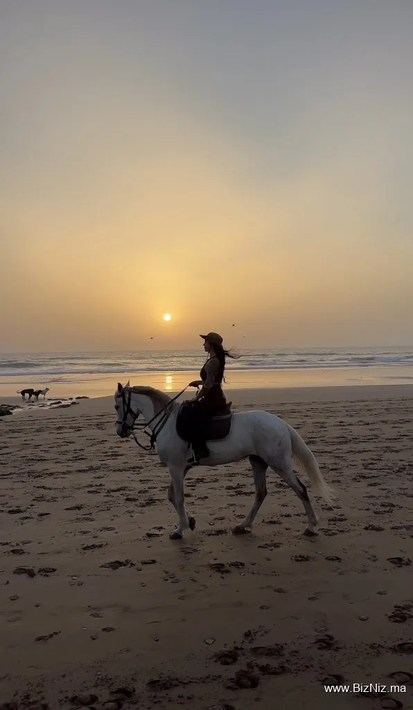 Ranch paradise - Horse riding Taghazout