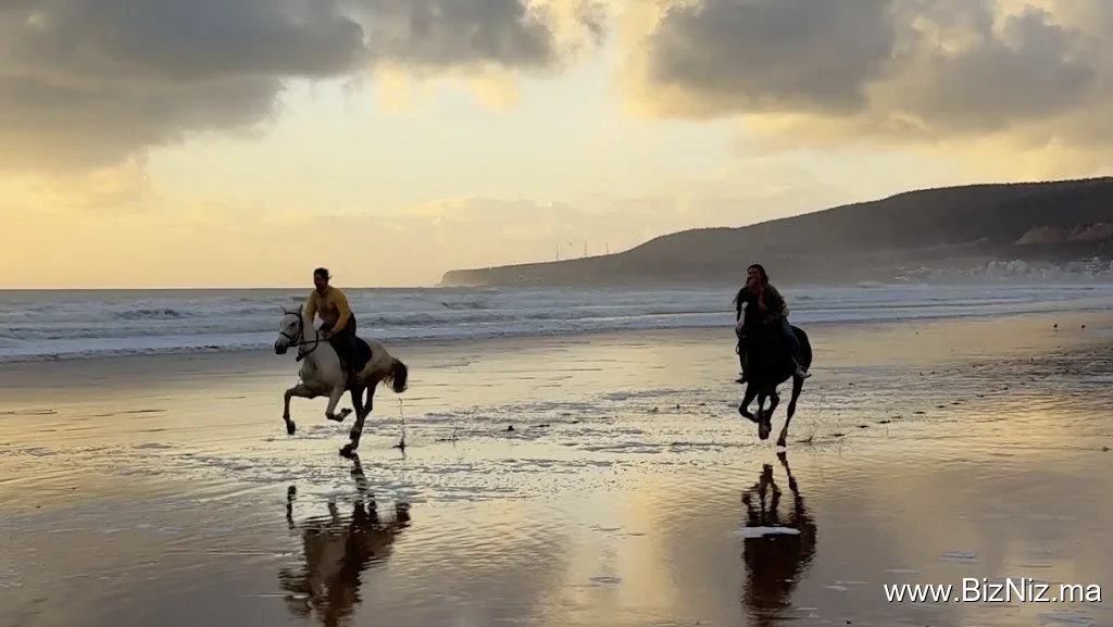 Ranch paradise - Horse riding Taghazout