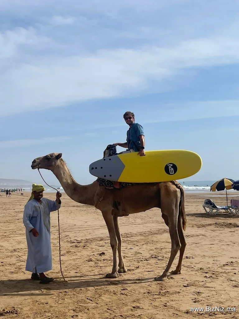 Awesome Surf Morocco
