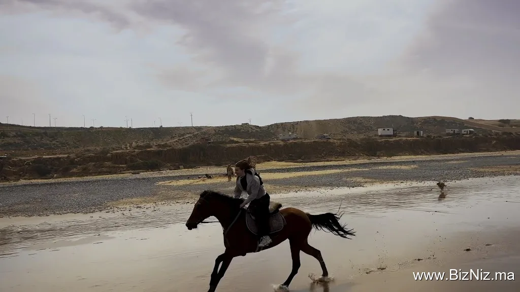 Ranch