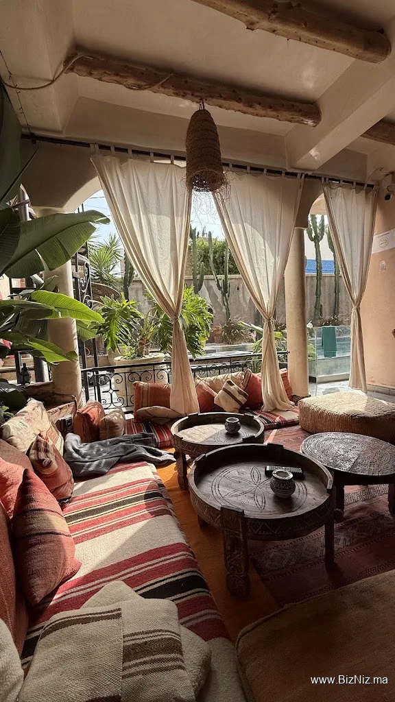 Surf Vibes Morocco