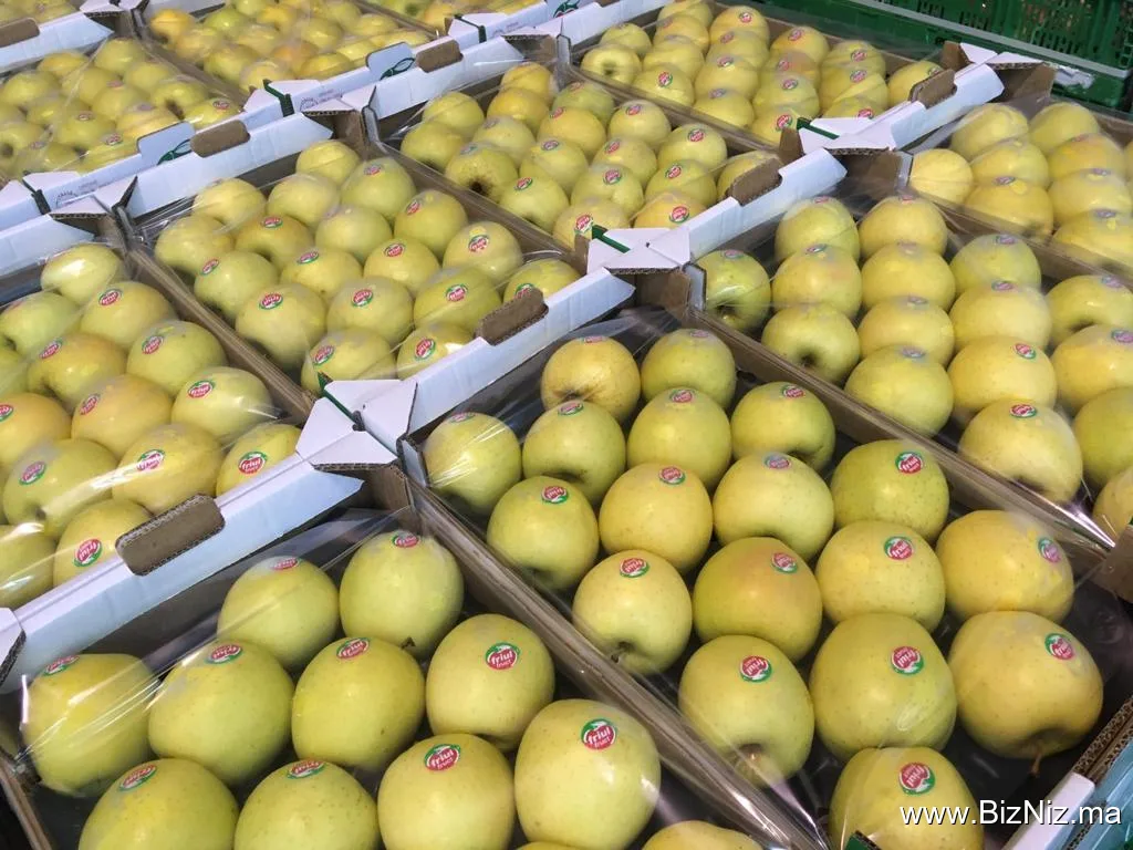 STE LATIF FRUIT