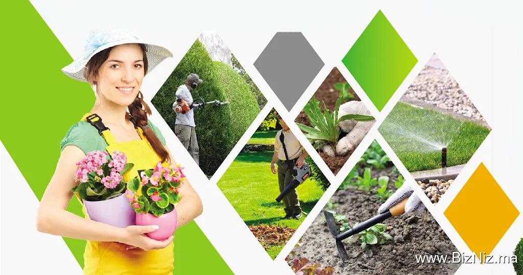 assia multiservices