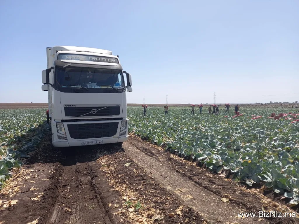 Ste Afrad transport
