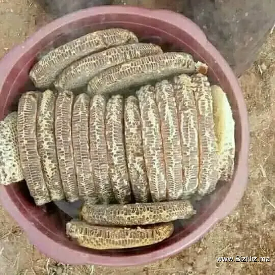 متجر آلعسل الحر