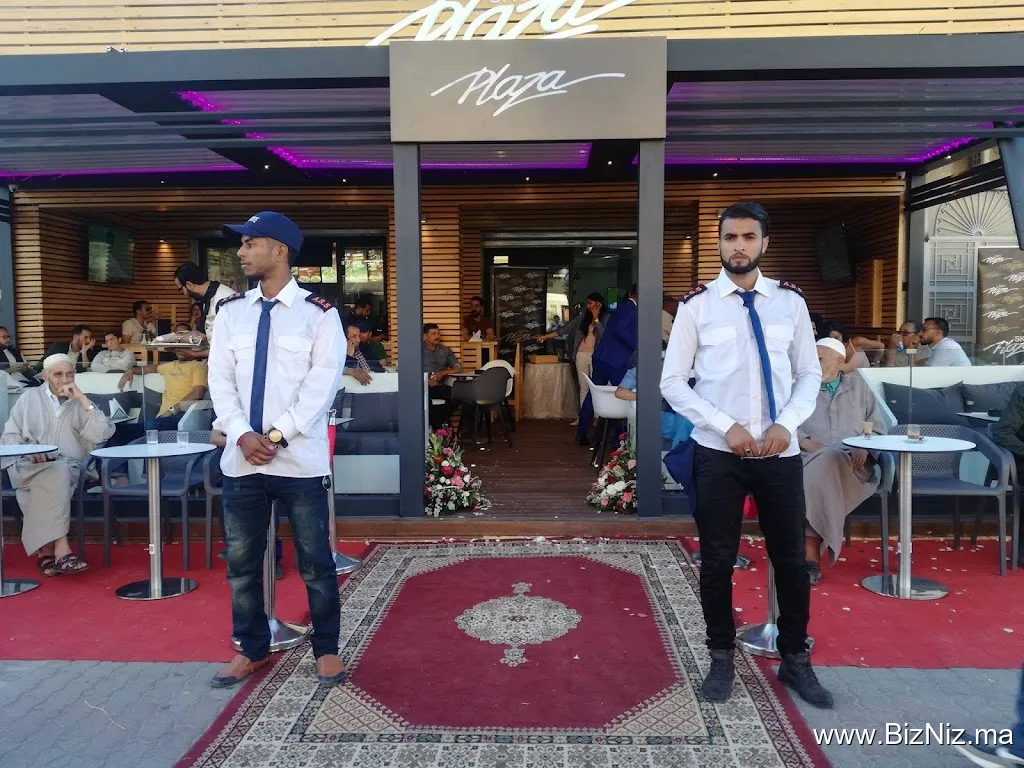 ANIR SECURITY & SERVICES LTD.
