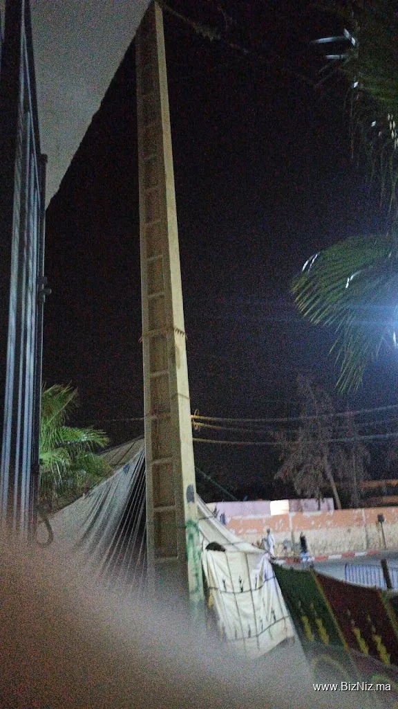 عائلة حسني