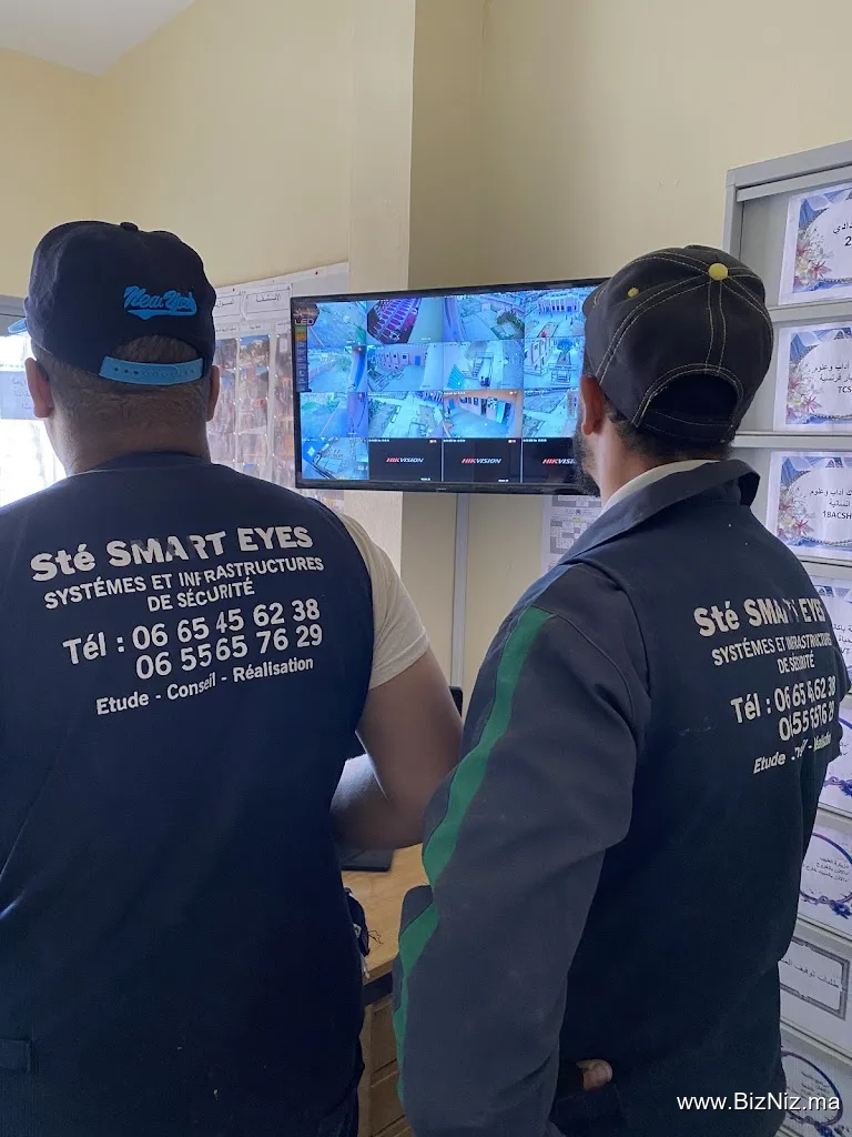 Smart eyes