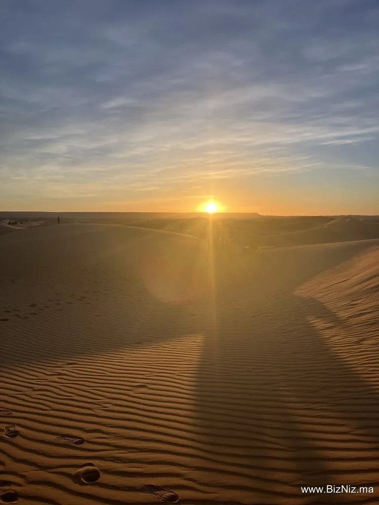 Desert Majesty