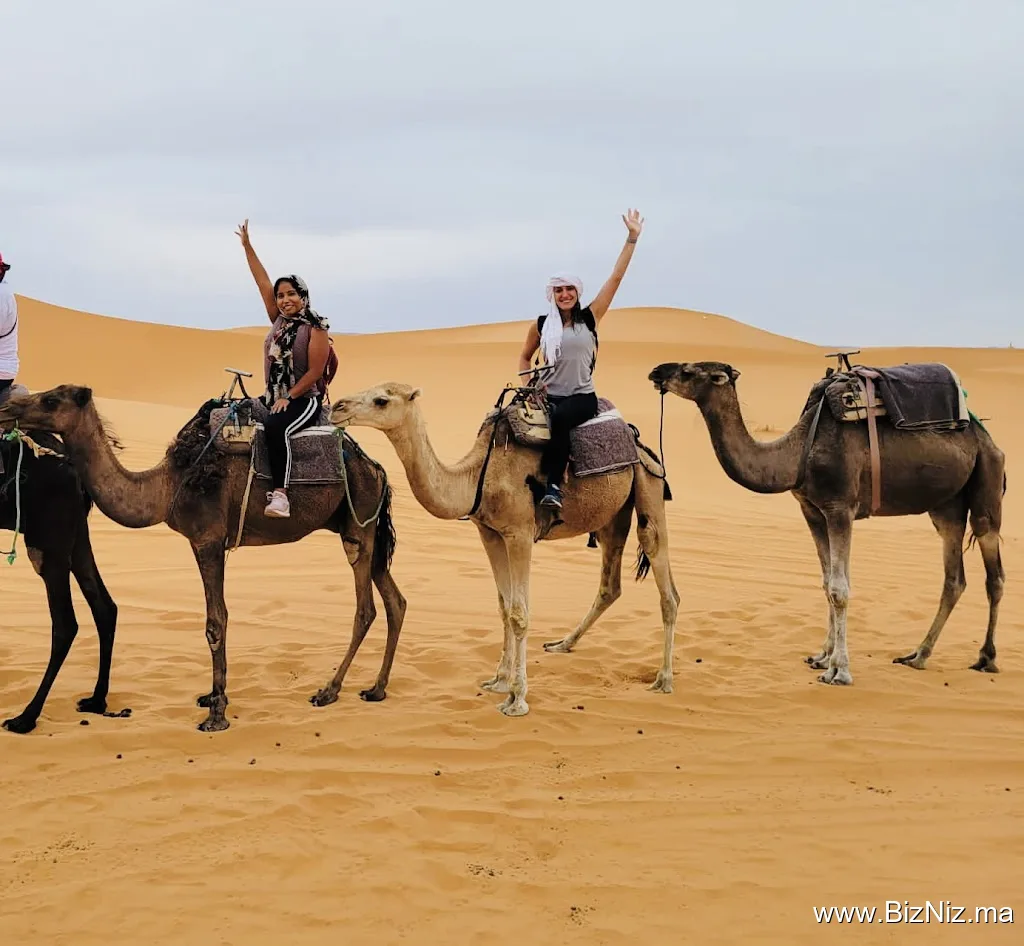 Desert Majesty